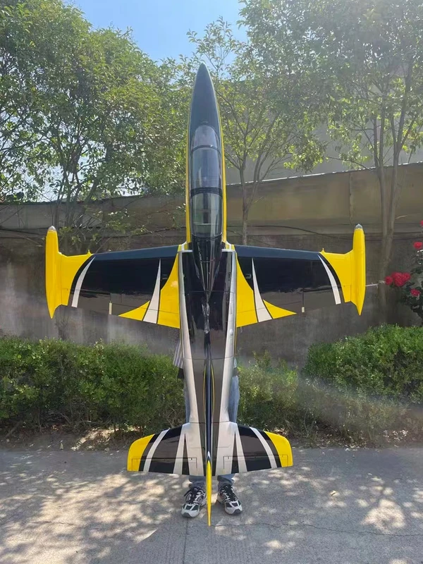 Aero L-39 — 2.6 m photo 29